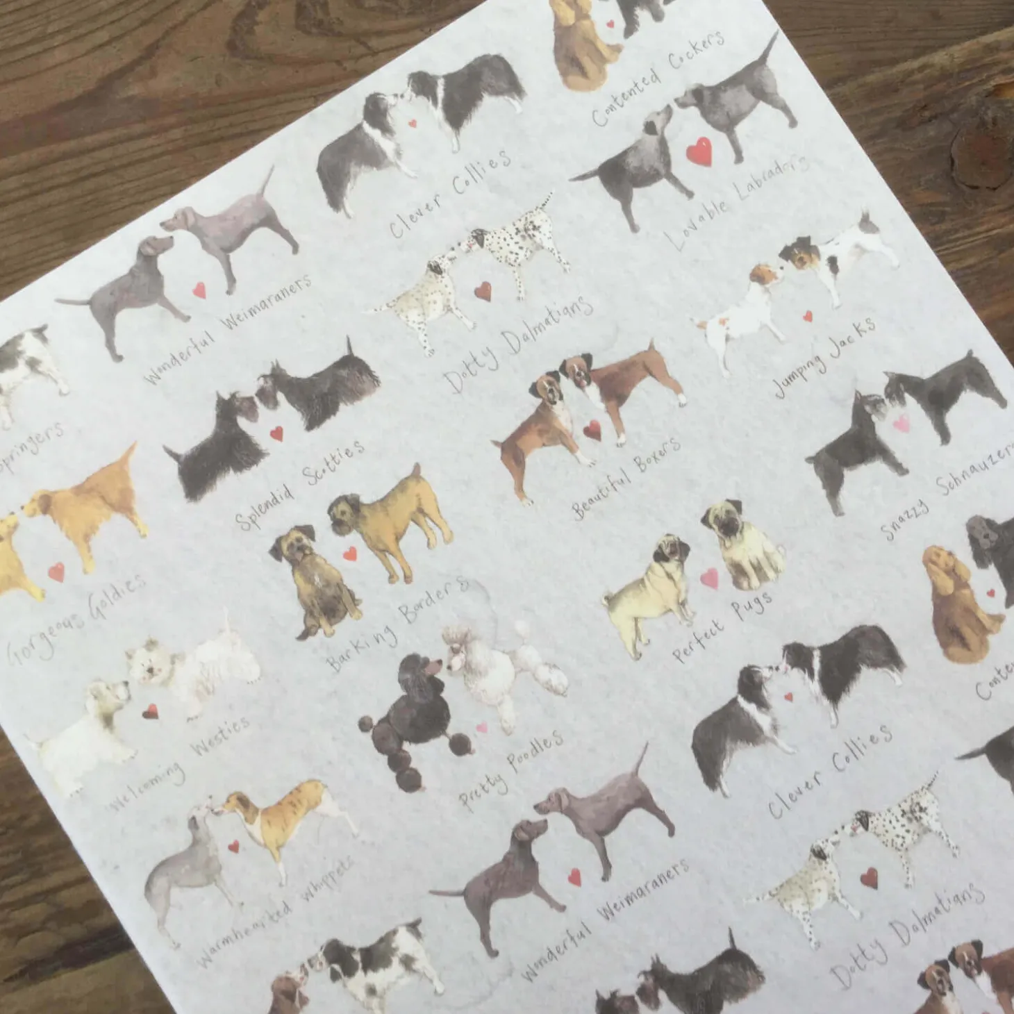 Alex Clark Large Soft Notebook - Delightful Dogs