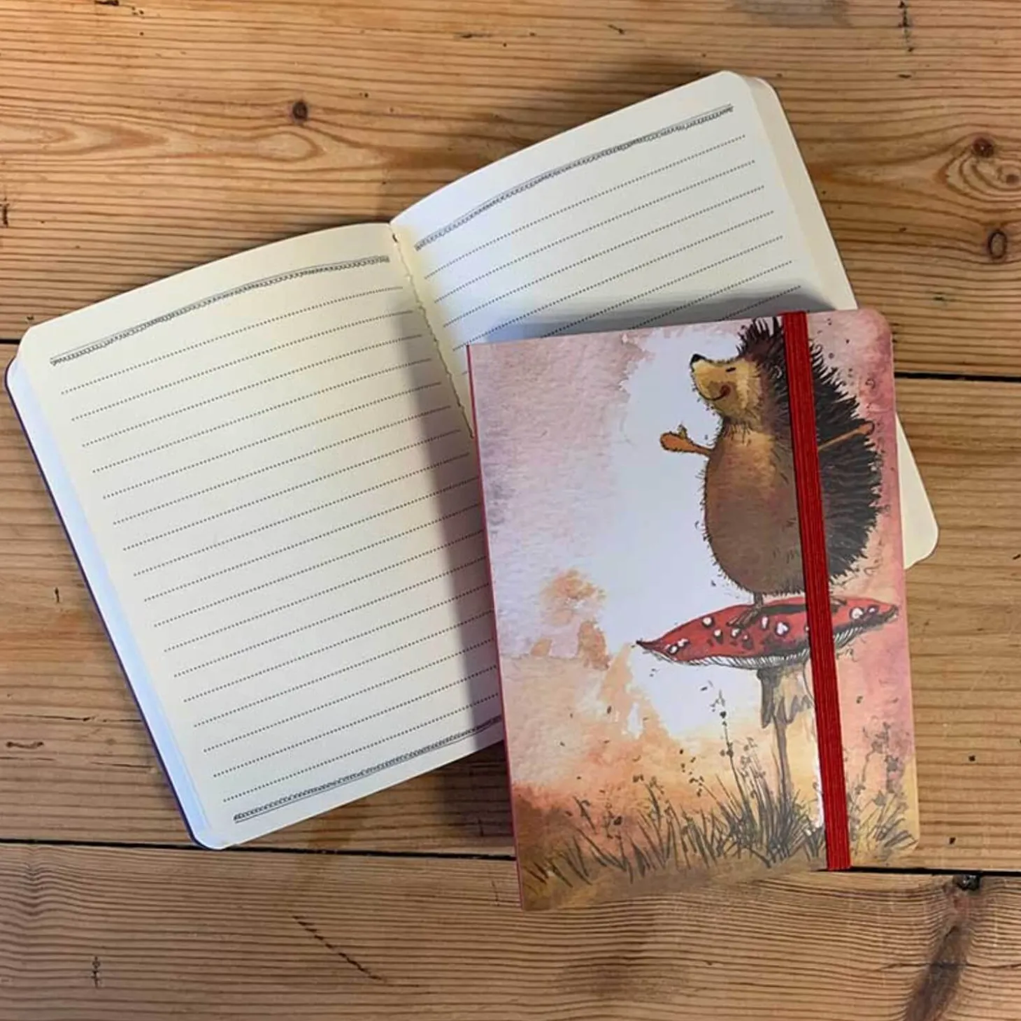 Alex Clark Small Chunky Notebook - Hedgehog & Toadstool