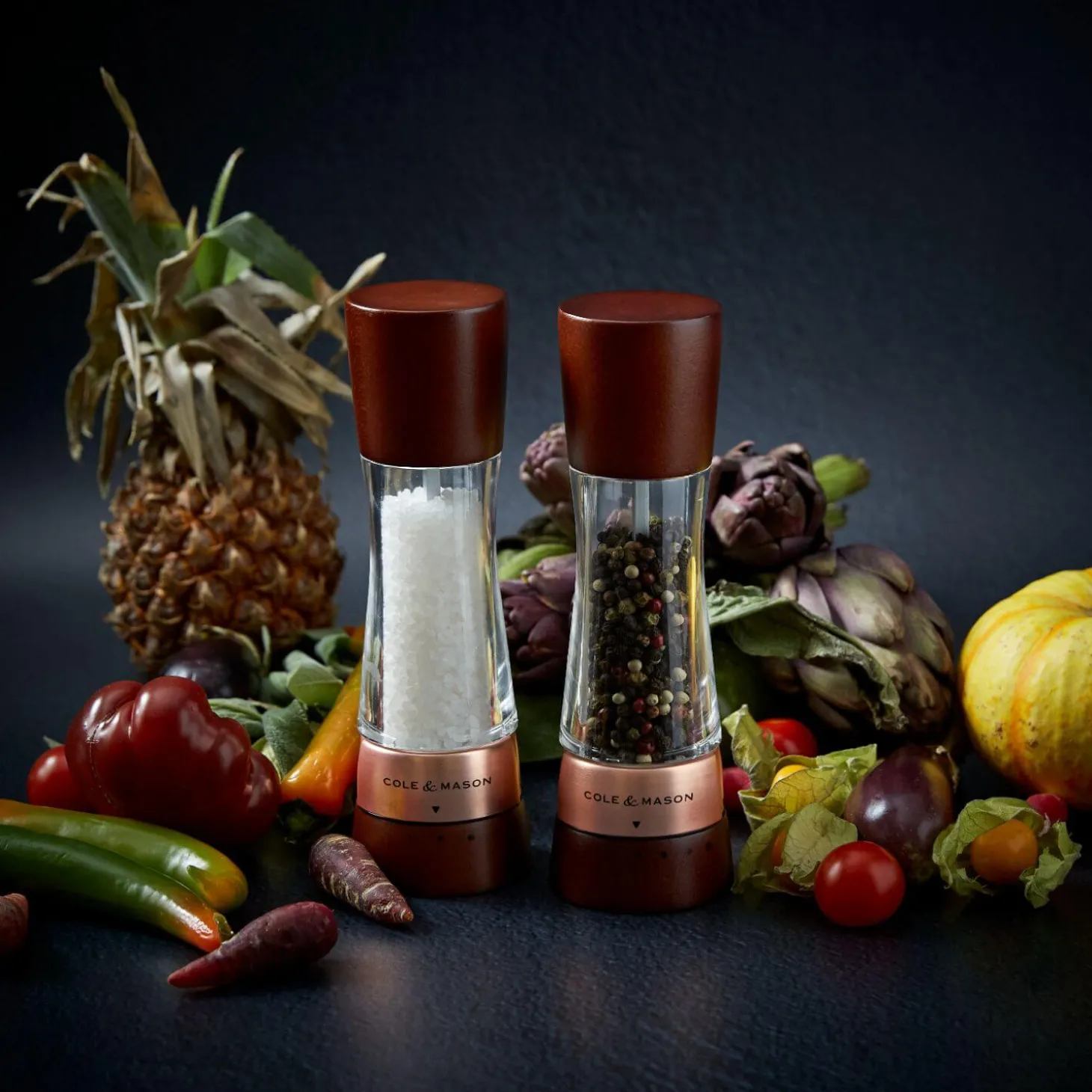 Cole & Mason Gourmet Precision+ 19cm Derwent Salt Mill - Chestnut