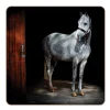 iStyle Rural Roots 4 Piece Square Coaster Set - Horse