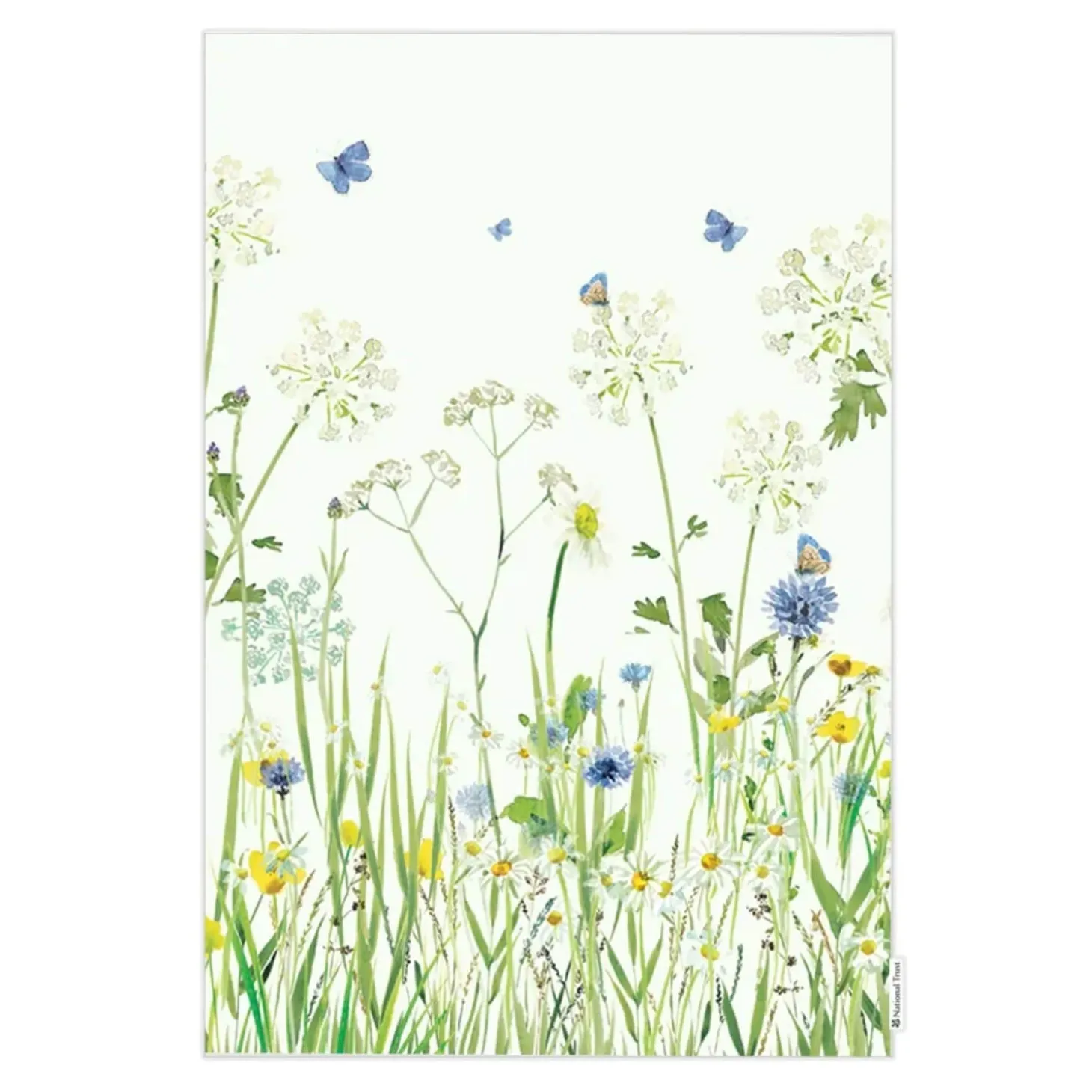 National Trust 100% Organic Cotton Tea Towel - Butterflies