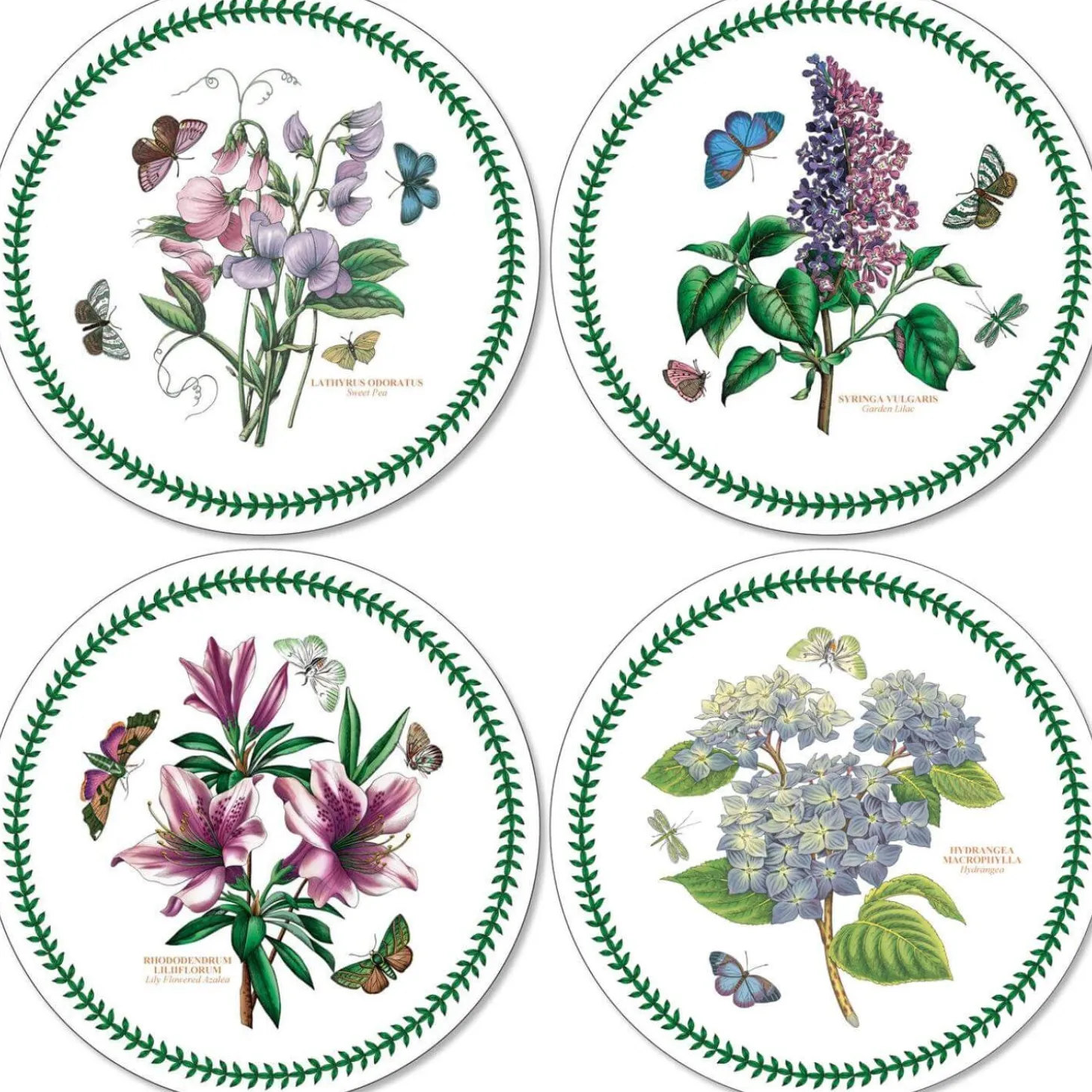 Portmeirion Botanic Garden Round Placemats - Set of 4