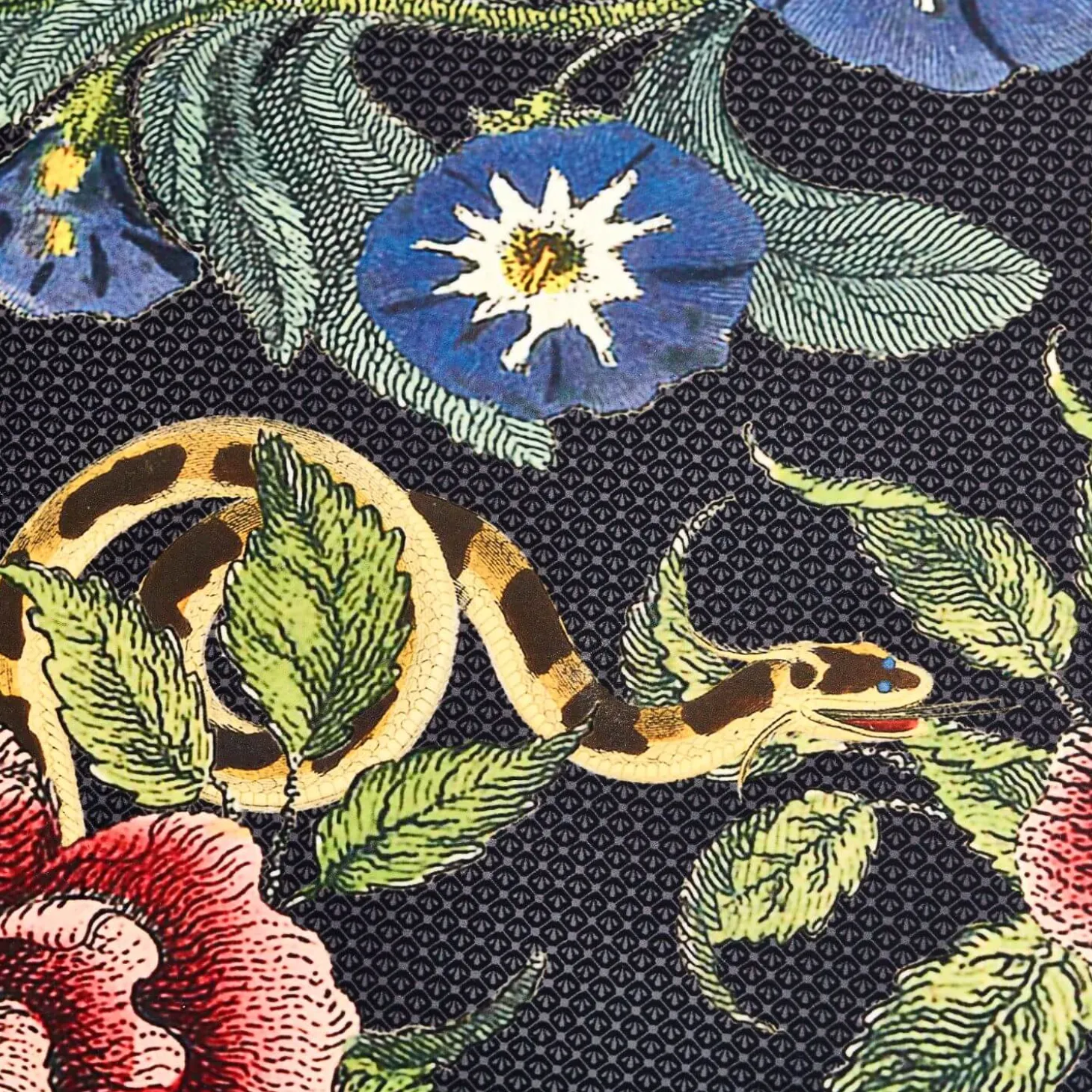 Spode Creatures of Curiosity Placemats - Set of 4