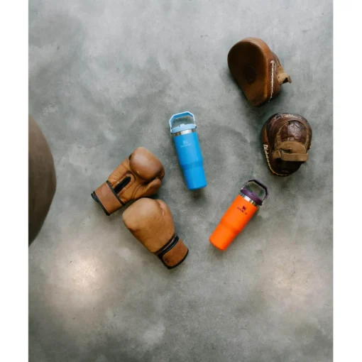 Stanley IceFlow 890ml Flip Straw Travel Tumbler - Azure