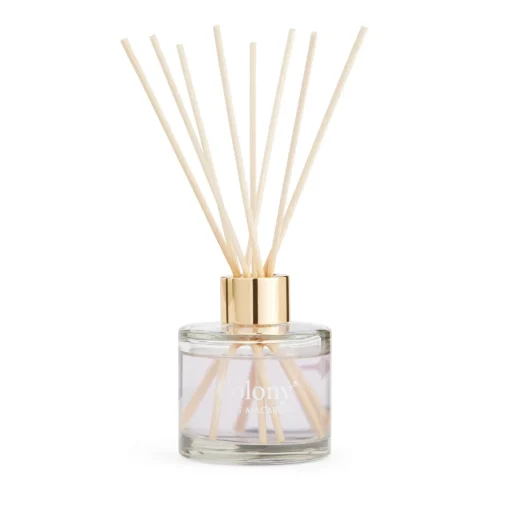 Wax Lyrical Colony 100ml Reed Diffuser - Sweet Macarons