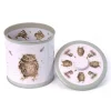 Wrendale Designs Biscuit Barrel Tin - Owl