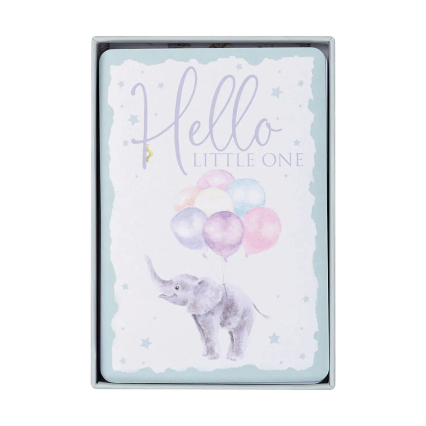 Wrendale Designs by Hannah Dale Little Wren Milestone Cards