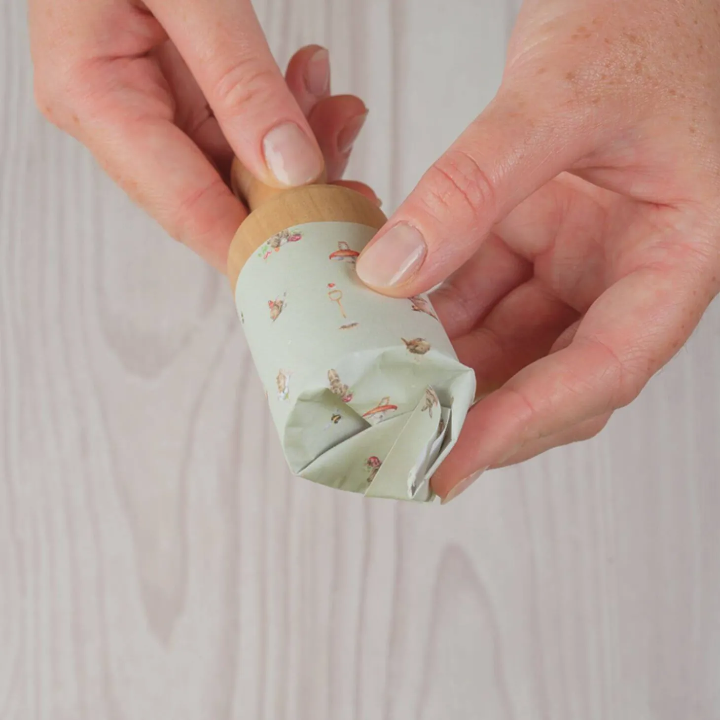 Wrendale Designs by Hannah Dale Paper Pot Press - Born To Be Wild