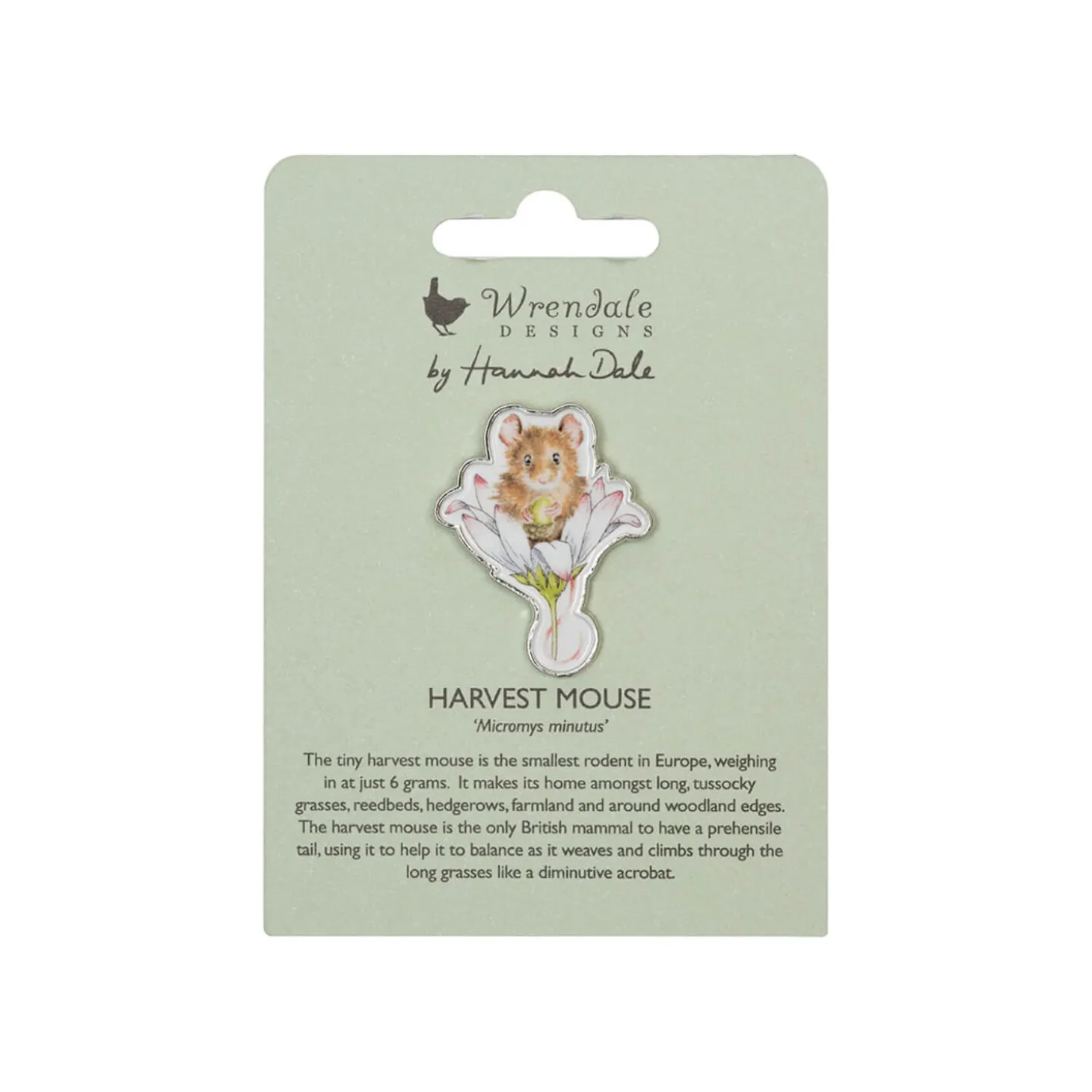 Wrendale Designs by Hannah Dale Pin Badge - Oops A Daisy - Mouse