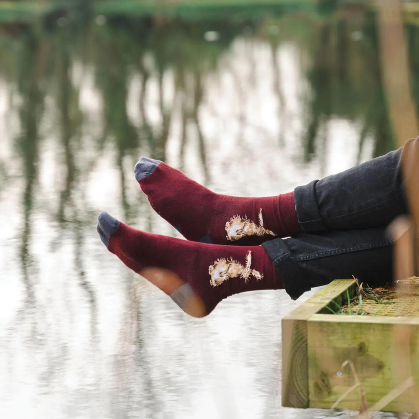 Wrendale Designs By Hannah Dale Mens Bamboo Socks One Size 7-11 - The Hare