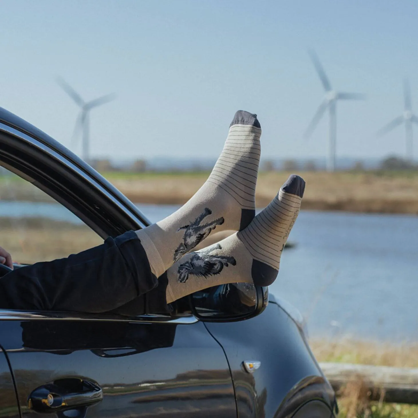 Wrendale Designs Mens Bamboo Socks One Size 7-11 - Walkies - Labrador