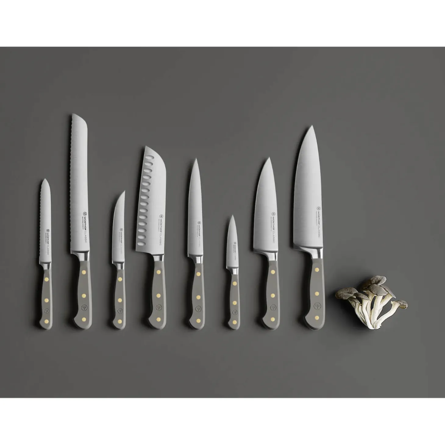 Wusthof Classic 23cm Bread Knife - Velvet Oyster