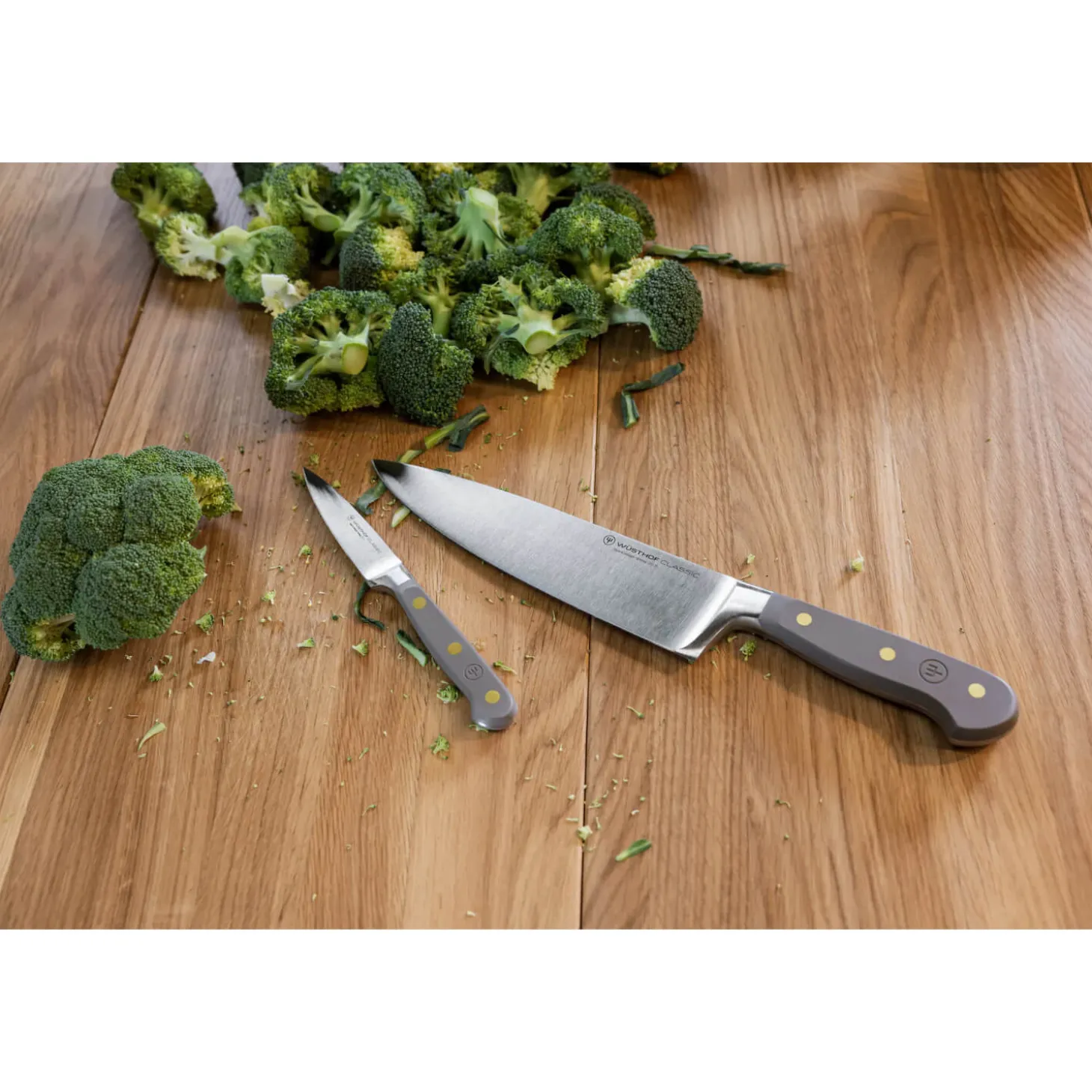 Wusthof Classic 23cm Bread Knife - Velvet Oyster